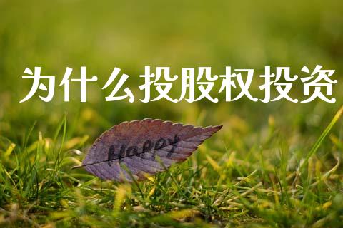 为什么投股权投资_https://cj002.lansai.wang_股市问答_第1张