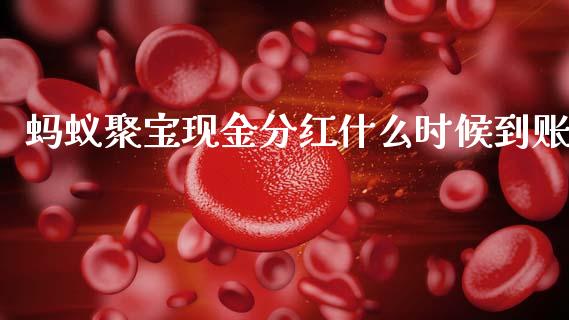 蚂蚁聚宝现金分红什么时候到账_https://cj002.lansai.wang_期货问答_第1张