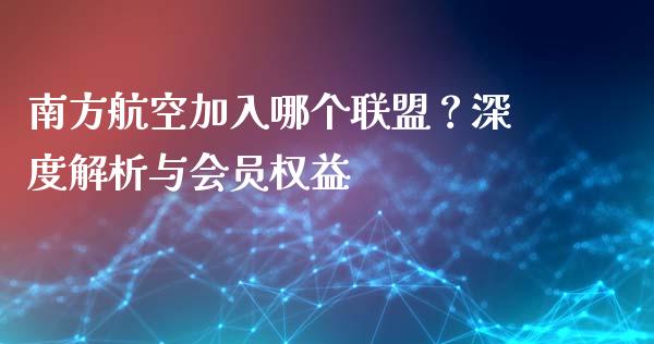 南方航空加入哪个联盟？深度解析与会员权益_https://cj002.lansai.wang_财经问答_第1张
