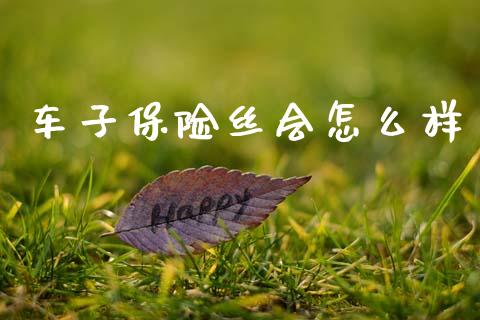 车子保险丝会怎么样_https://cj002.lansai.wang_保险问答_第1张