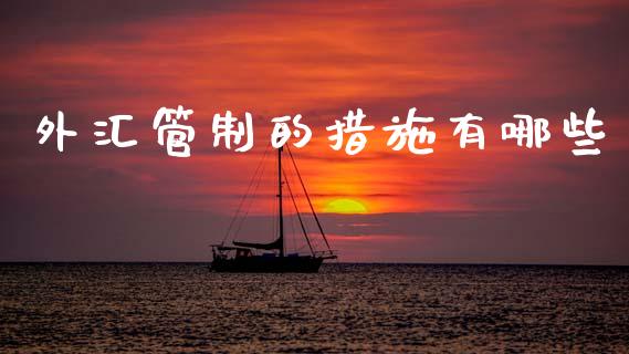 外汇管制的措施有哪些_https://cj002.lansai.wang_财经问答_第1张