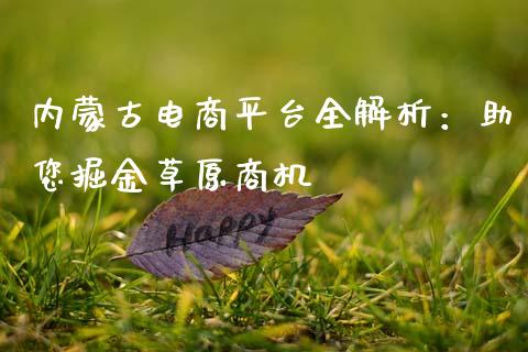 内蒙古电商平台全解析：助您掘金草原商机_https://cj002.lansai.wang_会计问答_第1张