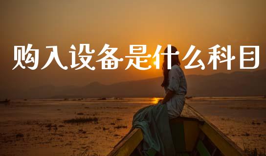 购入设备是什么科目_https://cj002.lansai.wang_会计问答_第1张