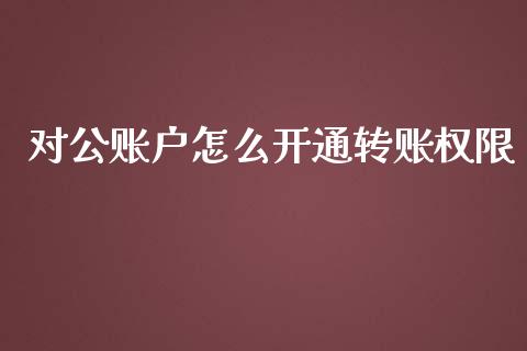 对公账户怎么开通转账权限_https://cj002.lansai.wang_金融问答_第1张