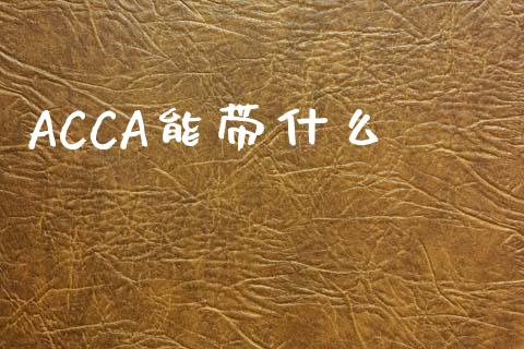 ACCA能带什么_https://cj002.lansai.wang_会计问答_第1张