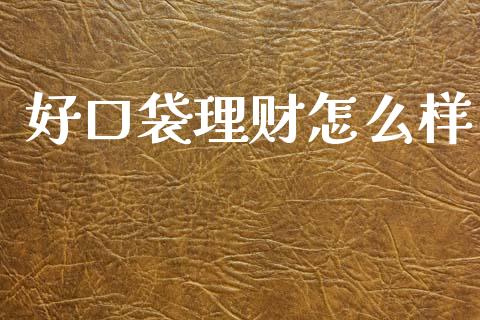 好口袋理财怎么样_https://cj002.lansai.wang_期货问答_第1张