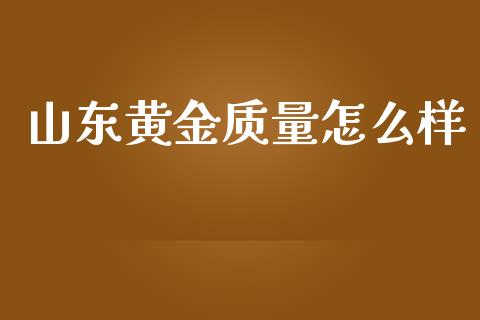 山东黄金质量怎么样_https://cj002.lansai.wang_理财问答_第1张