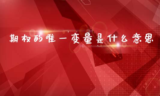 期权的唯一变量是什么意思_https://cj002.lansai.wang_期货问答_第1张