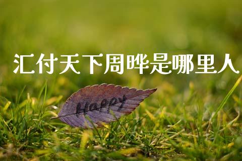 汇付天下周晔是哪里人_https://cj002.lansai.wang_期货问答_第1张