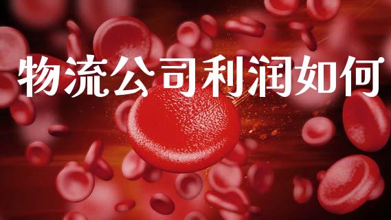 物流公司利润如何_https://cj002.lansai.wang_理财问答_第1张