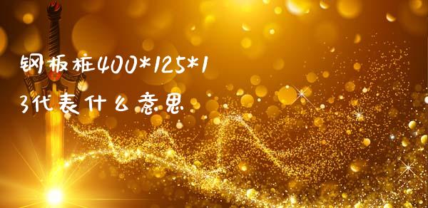 钢板桩400*125*13代表什么意思_https://cj002.lansai.wang_财经问答_第1张