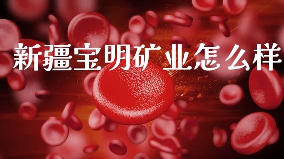 新疆宝明矿业怎么样_https://cj002.lansai.wang_财经问答_第1张