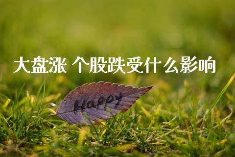 大盘涨 个股跌受什么影响_https://cj002.lansai.wang_股市问答_第1张
