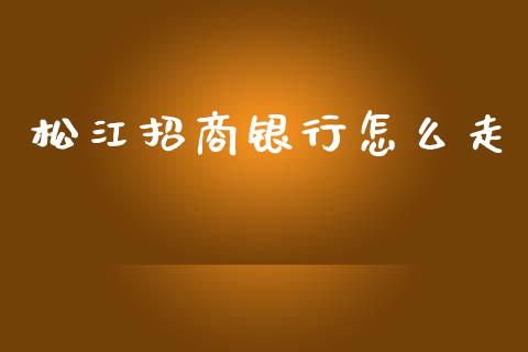 松江招商银行怎么走_https://cj002.lansai.wang_金融问答_第1张