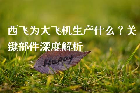 西飞为大飞机生产什么？关键部件深度解析_https://cj002.lansai.wang_财经百问_第1张
