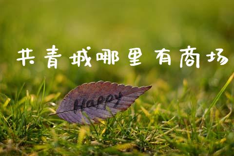 共青城哪里有商场_https://cj002.lansai.wang_股市问答_第1张
