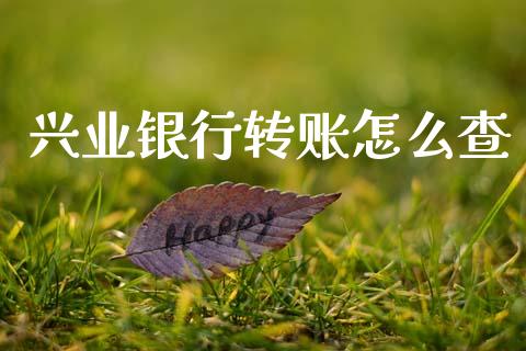 兴业银行转账怎么查_https://cj002.lansai.wang_金融问答_第1张