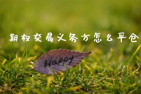 期权交易义务方怎么平仓_https://cj002.lansai.wang_财经问答_第1张