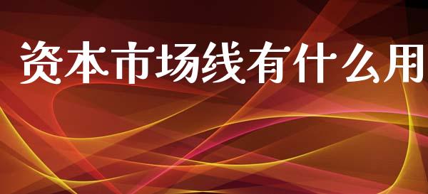 资本市场线有什么用_https://cj002.lansai.wang_会计问答_第1张