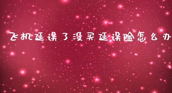 飞机延误了没买延误险怎么办_https://cj002.lansai.wang_财经百问_第1张