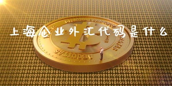 上海企业外汇代码是什么_https://cj002.lansai.wang_财经问答_第1张