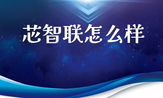 芯智联怎么样_https://cj002.lansai.wang_财经百问_第1张