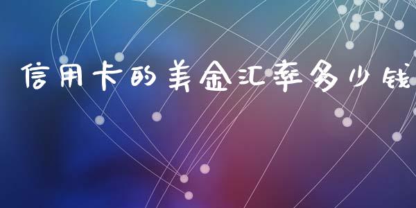 信用卡的美金汇率多少钱_https://cj002.lansai.wang_财经问答_第1张