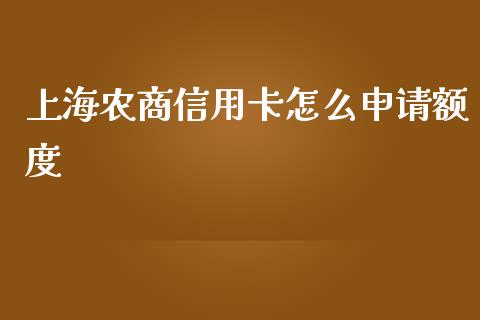 上海农商信用卡怎么申请额度_https://cj002.lansai.wang_金融问答_第1张