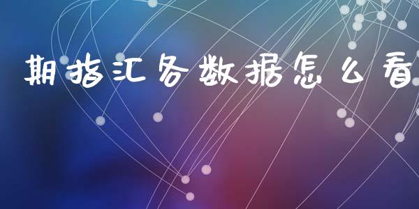 期指汇各数据怎么看_https://cj002.lansai.wang_期货问答_第1张