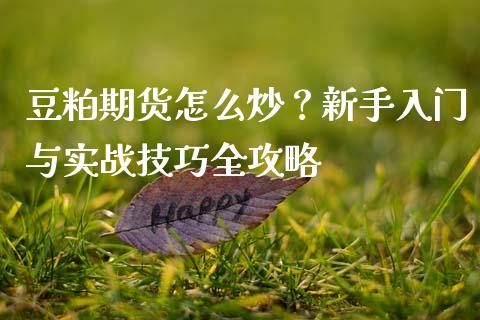 豆粕期货怎么炒？新手入门与实战技巧全攻略_https://cj002.lansai.wang_期货问答_第1张