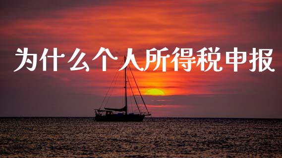为什么个人所得税申报_https://cj002.lansai.wang_会计问答_第1张
