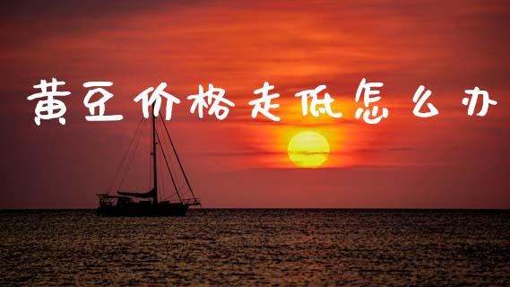 黄豆价格走低怎么办_https://cj002.lansai.wang_保险问答_第1张