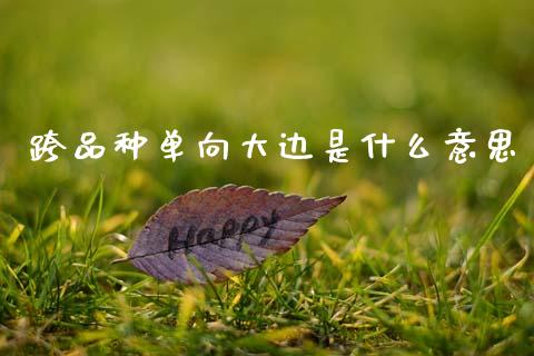 跨品种单向大边是什么意思_https://cj002.lansai.wang_期货问答_第1张