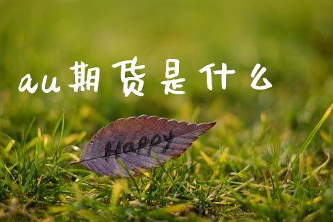 au期货是什么_https://cj002.lansai.wang_金融问答_第1张