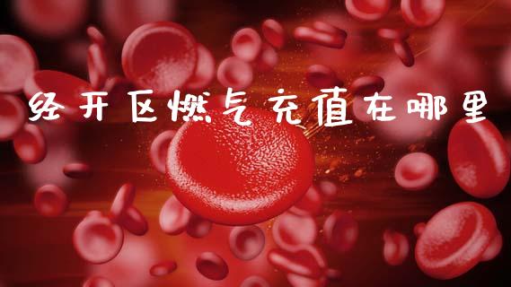 经开区燃气充值在哪里_财经问答_第1张_财经百问网 经开区燃气充值在哪里_https://cj002.lansai.wang_财经问答_第1张