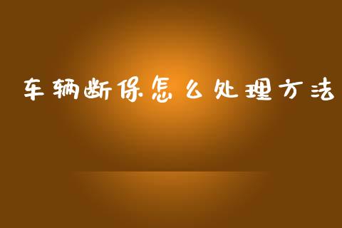 车辆断保怎么处理方法_https://cj002.lansai.wang_保险问答_第1张