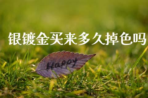 银镀金买来多久掉色吗_https://cj002.lansai.wang_股市问答_第1张