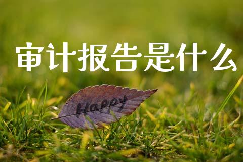 审计报告是什么_https://cj002.lansai.wang_会计问答_第1张