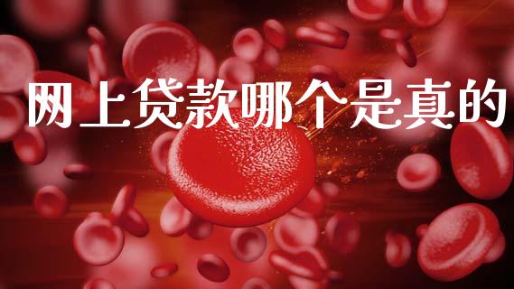 网上贷款哪个是真的_期货问答_第1张_财经百问网 网上贷款哪个是真的_https://cj002.lansai.wang_期货问答_第1张