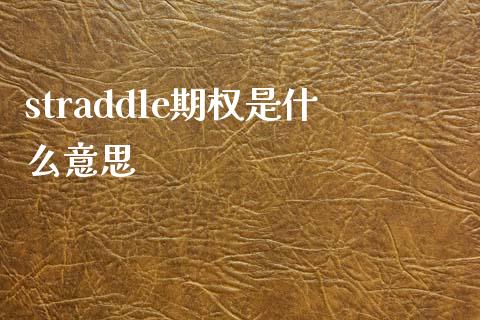 straddle期权是什么意思_https://cj002.lansai.wang_保险问答_第1张