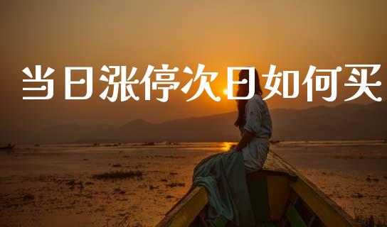 当日涨停次日如何买_https://cj002.lansai.wang_金融问答_第1张