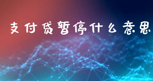 支付贷暂停什么意思_https://cj002.lansai.wang_理财问答_第1张