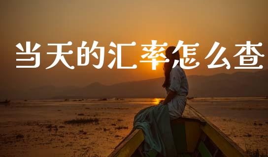 当天的汇率怎么查_https://cj002.lansai.wang_财经问答_第1张