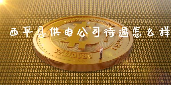 西平县供电公司待遇怎么样_https://cj002.lansai.wang_会计问答_第1张