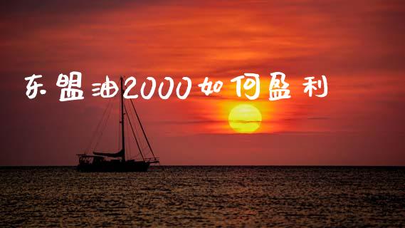 东盟油2000如何盈利_https://cj002.lansai.wang_股市问答_第1张