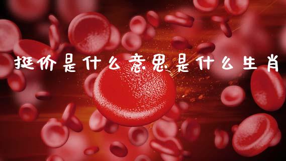挺价是什么意思是什么生肖_https://cj002.lansai.wang_期货问答_第1张