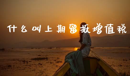 什么叫上期留抵增值税_https://cj002.lansai.wang_会计问答_第1张