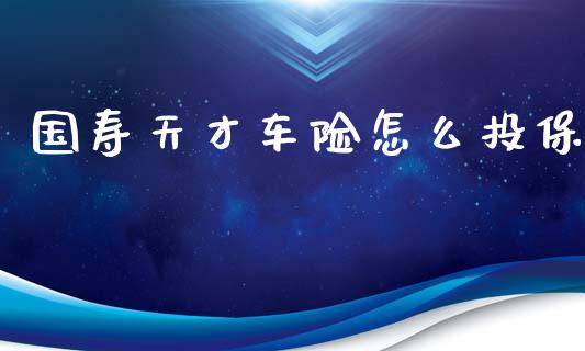 国寿天才车险怎么投保_https://cj002.lansai.wang_保险问答_第1张