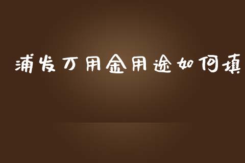 浦发万用金用途如何填_https://cj002.lansai.wang_理财问答_第1张