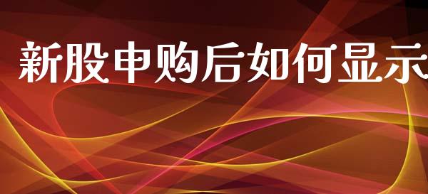 新股申购后如何显示_https://cj002.lansai.wang_理财问答_第1张